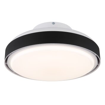 Carney Ventilateur de plafond lumineux Luminaires Globo Lighting LED Blanc, 1 lumière, Télécommandes