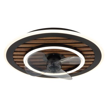 Trevino Ventilateur de plafond lumineux Luminaires Globo Lighting LED Écru, Noir, 1 lumière, Télécommandes