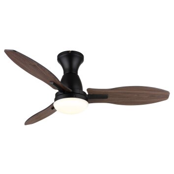 Gale Ventilateur de plafond lumineux Luminaires Globo Lighting LED Couleur bois, Écru, Noir, 1 lumière, Télécommandes