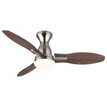 Gale Ventilateur de plafond lumineux Luminaires Globo Lighting LED Couleur bois, Écru, Nickel mat, 1 lumière, Télécommandes