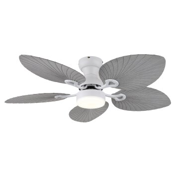 Elise Ventilateur de plafond lumineux Luminaires Globo Lighting LED Gris, Blanc, 1 lumière, Télécommandes