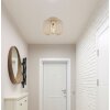 Alfred Plafonnier Luminaires Globo Lighting Sable, 1 lumière