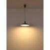 Rocha Suspension Luminaires Globo Lighting LED Gris, 1 lumière