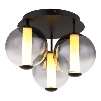 Lacy Plafonnier Luminaires Globo Lighting LED Noir, 1 lumière