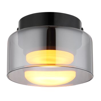Higgins Plafonnier Luminaires Globo Lighting Noir, 1 lumière