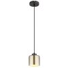 Felicia Suspension Luminaires Globo Lighting Noir, 1 lumière