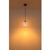 Felicia Suspension Luminaires Globo Lighting Noir, 1 lumière