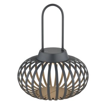 Allegra Lampe à poser Luminaires Globo Lighting LED Anthracite, 1 lumière