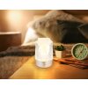 Lizzy Lampe à poser Luminaires Globo Lighting LED Argenté, 1 lumière