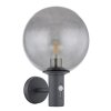 Hedwig Luminaire extérieur Luminaires Globo Lighting, 1 lumière