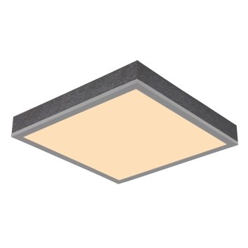 Doro Plafonnier Luminaires Globo Lighting LED Gris, Argenté, 1 lumière