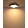 Doro Plafonnier Luminaires Globo Lighting LED Gris, Argenté, 1 lumière