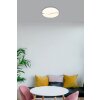 Leticia Plafonnier Luminaires Globo Lighting LED Blanc, 1 lumière