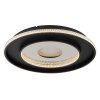 Marsh Plafonnier Luminaires Globo Lighting LED Noir, 1 lumière, Télécommandes