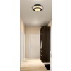 Jayden Plafonnier Luminaires Globo Lighting LED Or, Noir, 1 lumière