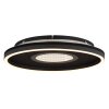 Emory Plafonnier Luminaires Globo Lighting LED Noir, 1 lumière