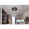 Emory Plafonnier Luminaires Globo Lighting LED Noir, 1 lumière