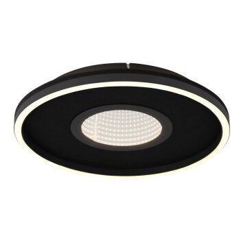 Emory Plafonnier Luminaires Globo Lighting LED Noir, 1 lumière Emory Plafonnier Luminaires Globo Lighting LED Noir, 1 lumière