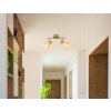 Zachery Plafonnier Luminaires Globo Lighting Laiton, 2 lumières