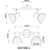Zachery Plafonnier Luminaires Globo Lighting Laiton, 2 lumières