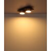 Raymond Plafonnier Luminaires Globo Lighting LED Anthracite, Noir, 1 lumière