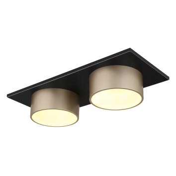 Raymond Plafonnier Luminaires Globo Lighting LED Anthracite, Noir, 1 lumière