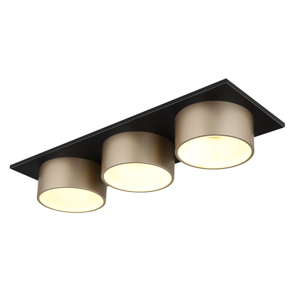 Raymond Plafonnier Luminaires Globo Lighting LED Anthracite, Noir, 1 lumière main product photo