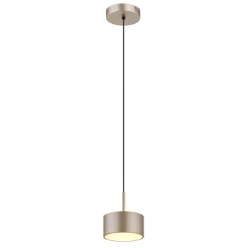 Raymond Suspension Luminaires Globo Lighting LED Anthracite, Noir, 1 lumière