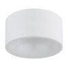 Raymond Plafonnier Luminaires Globo Lighting LED Blanc, 1 lumière