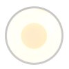 Raymond Plafonnier Luminaires Globo Lighting LED Blanc, 1 lumière