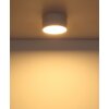 Raymond Plafonnier Luminaires Globo Lighting LED Blanc, 1 lumière