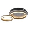 Della Plafonnier Luminaires Globo Lighting LED Noir, 1 lumière