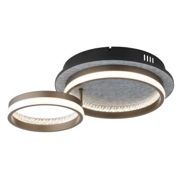 Della Plafonnier Luminaires Globo Lighting LED Noir, 1 lumière