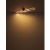 Dakari Plafonnier Luminaires Globo Lighting LED Écru, Noir, 1 lumière