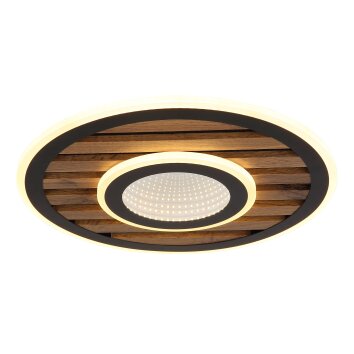Woody Plafonnier Luminaires Globo Lighting LED Écru, Noir, 1 lumière