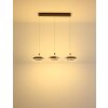 Hendricks Suspension Luminaires Globo Lighting LED Bronze, 1 lumière