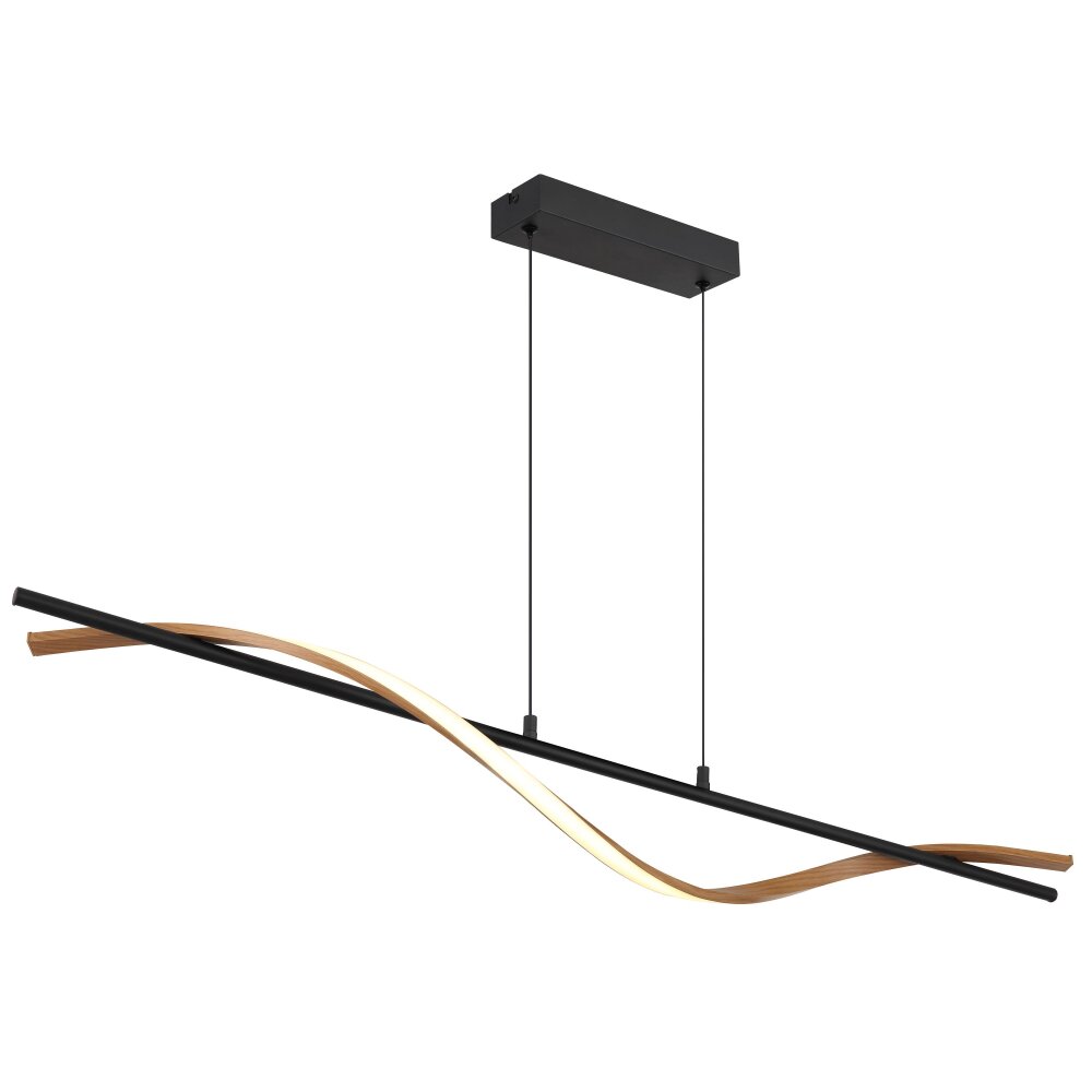 Watkins Suspension Luminaires Globo Lighting LED Noir, 1 lumière main product photo