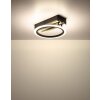 Blevins Plafonnier Luminaires Globo Lighting LED Écru, Noir, 1 lumière