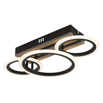 Blevins Plafonnier Luminaires Globo Lighting LED Écru, Noir, 1 lumière