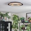 Lidor Plafonnier LED Noir, 1 lumière