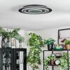 Lidor Plafonnier LED Noir, 1 lumière