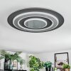 Lidor Plafonnier LED Noir, 1 lumière