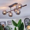 Chehalis Plafonnier, Boule lumineuse Fumé, 5 lumières