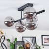 Chehalis Plafonnier, Boule lumineuse Fumé, 5 lumières