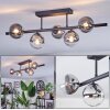 Chehalis Plafonnier, Boule lumineuse Clair, Fumé, 5 lumières