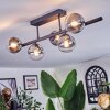 Chehalis Plafonnier, Boule lumineuse Clair, Fumé, 5 lumières