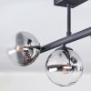 Chehalis Plafonnier, Boule lumineuse Clair, Fumé, 5 lumières
