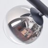 Chehalis Plafonnier, Boule lumineuse Clair, Fumé, 5 lumières