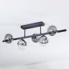 Chehalis Plafonnier, Boule lumineuse Clair, Fumé, 5 lumières