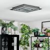 Lidor Plafonnier LED Noir, 1 lumière